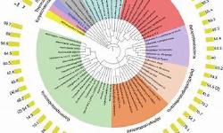 Featured image of post metagenomic