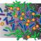 microbial-ecology