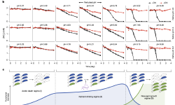 Featured image of post 25年最新的一些Nature环境微生物研究文章（3）