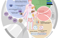 Featured image of post Nature Medicine| 通过脂肪组织-微生物组相互作用对代谢性肥胖的多组学定义