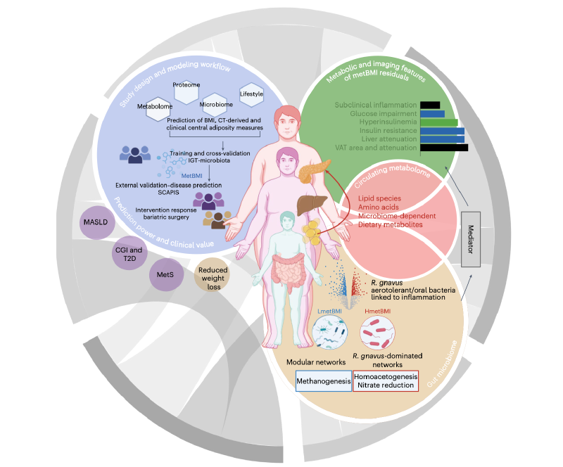 Featured image of post Nature Medicine| 通过脂肪组织-微生物组相互作用对代谢性肥胖的多组学定义