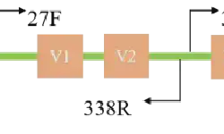 Featured image of post 扩增子(Amplicon)数据分析流程|Qiime2