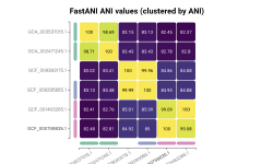 Featured image of post 使用FastANI与Skani计算平均核苷酸一致性(ANI)