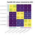 使用FastANI与Skani计算平均核苷酸一致性(ANI)