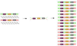 Featured image of post 微生物组抗生素抗性基因(ARGs)分析的挑战、局限与未来展望