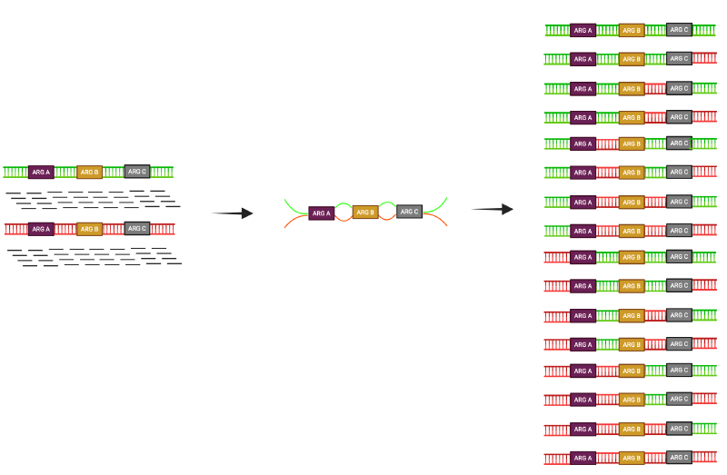 Featured image of post 微生物组抗生素抗性基因(ARGs)分析的挑战、局限与未来展望