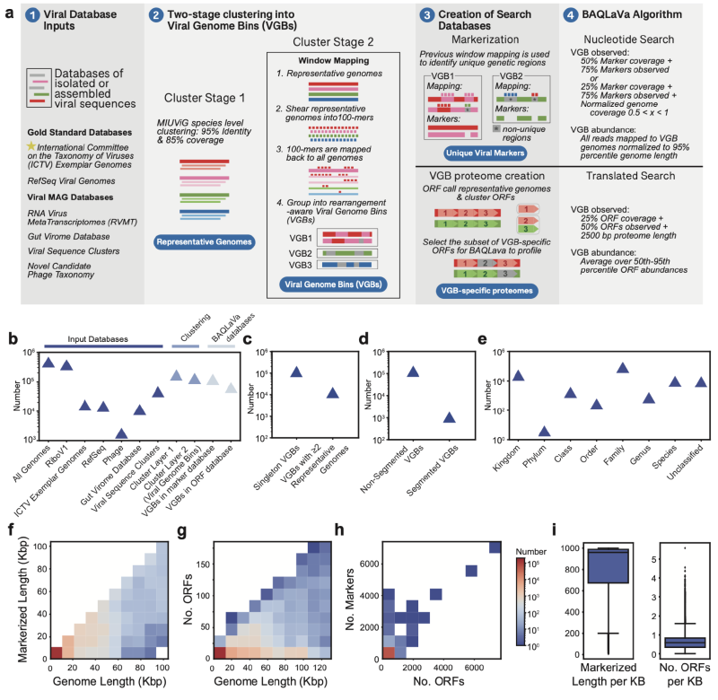 Featured image of post BAQLaVa：高分辨率病毒群落分析的新框架，基于宏基因组与宏转录组数据