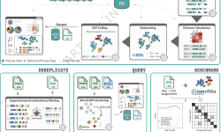 Featured image of post BiG-SCAPE 2.0与BiG-SLiCE 2.0：代谢基因簇聚类分析工具的重大升级