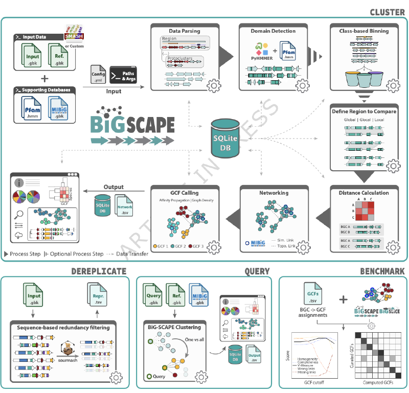 Featured image of post BiG-SCAPE 2.0与BiG-SLiCE 2.0：代谢基因簇聚类分析工具的重大升级