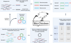 Featured image of post 宏基因组分箱（binning）｜5. Bin Chicken靶向共组装