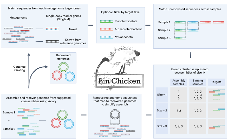 Featured image of post 宏基因组分箱（binning）｜5. Bin Chicken靶向共组装
