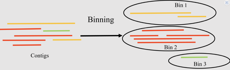 Featured image of post 宏基因组分箱（binning）｜1.Metabat实战了解binning