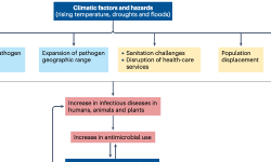 Featured image of post 气候变化与抗菌药物耐药性：关联机制与应对策略