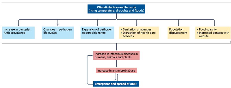 Featured image of post 气候变化与抗菌药物耐药性：关联机制与应对策略