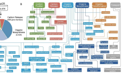 Featured image of post 地球CNPS元素循环功能基因数据库