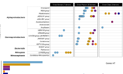 Featured image of post 寒冷适应和HGT塑造南极海绵微生物组