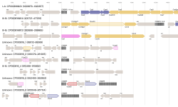 Featured image of post 使用CRISPRCasTyper注释和分类CRISPR-Cas基因