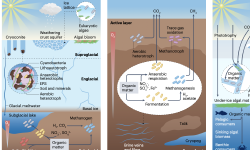 Featured image of post 冰冻圈微生物生态系统中气候变化的当前与预期效应