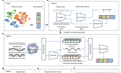 Featured image of post DECODE：适用于多组学数据的深度学习通用去卷积框架|Nature Methods