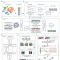 DECODE：适用于多组学数据的深度学习通用去卷积框架|Nature Methods