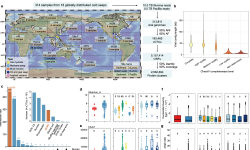 Featured image of post 全球深海冷泉病毒图谱揭示病毒暗物质及生物技术潜力