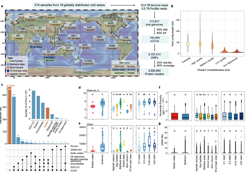 Featured image of post 全球深海冷泉病毒图谱揭示病毒暗物质及生物技术潜力