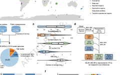 Featured image of post 极端环境微生物组目录 (EEMC)：微生物多样性和抗菌药物发现的全球资源