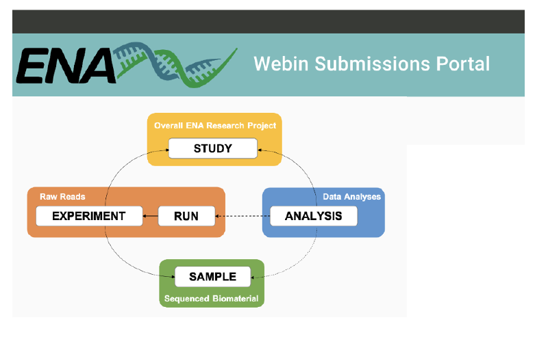 Featured image of post NCBI不维护？试试上传数据至ENA
