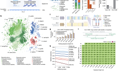 Featured image of post Evo 2：跨越所有生命领域的基因组建模与设计基础模型|Nature