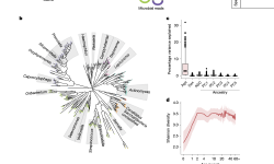 Featured image of post Nature|人类与细菌的基因变异共同塑造口腔微生物组与健康