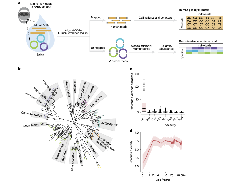 Featured image of post Nature|人类与细菌的基因变异共同塑造口腔微生物组与健康