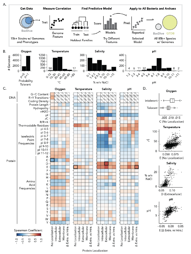 Featured image of post 使用GenomeSPOT从氨基酸组成预测微生物生长条件