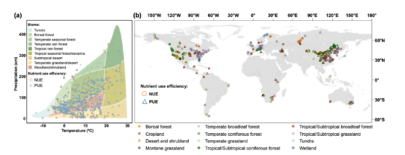 Featured image of post NC|全球土壤微生物氮、磷利用效率的格局与驱动因素