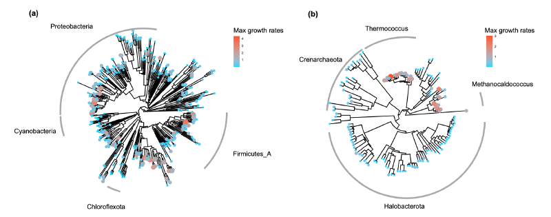 Featured image of post 使用gRodon和Phydon进行微生物基因组的最大生长速率预测