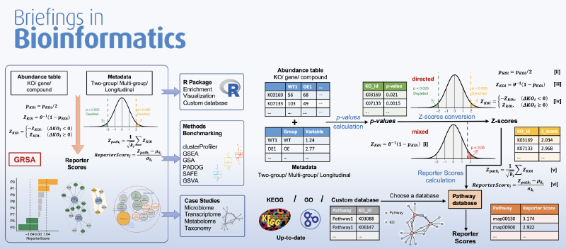 Featured image of post ReporterScore包(GRSA方法)正式发表于杂志Briefings in Bioinformatics