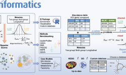 Featured image of post ReporterScore包(GRSA方法)正式发表于杂志Briefings in Bioinformatics