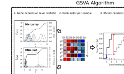 Featured image of post GSVA: 基因集变异分析