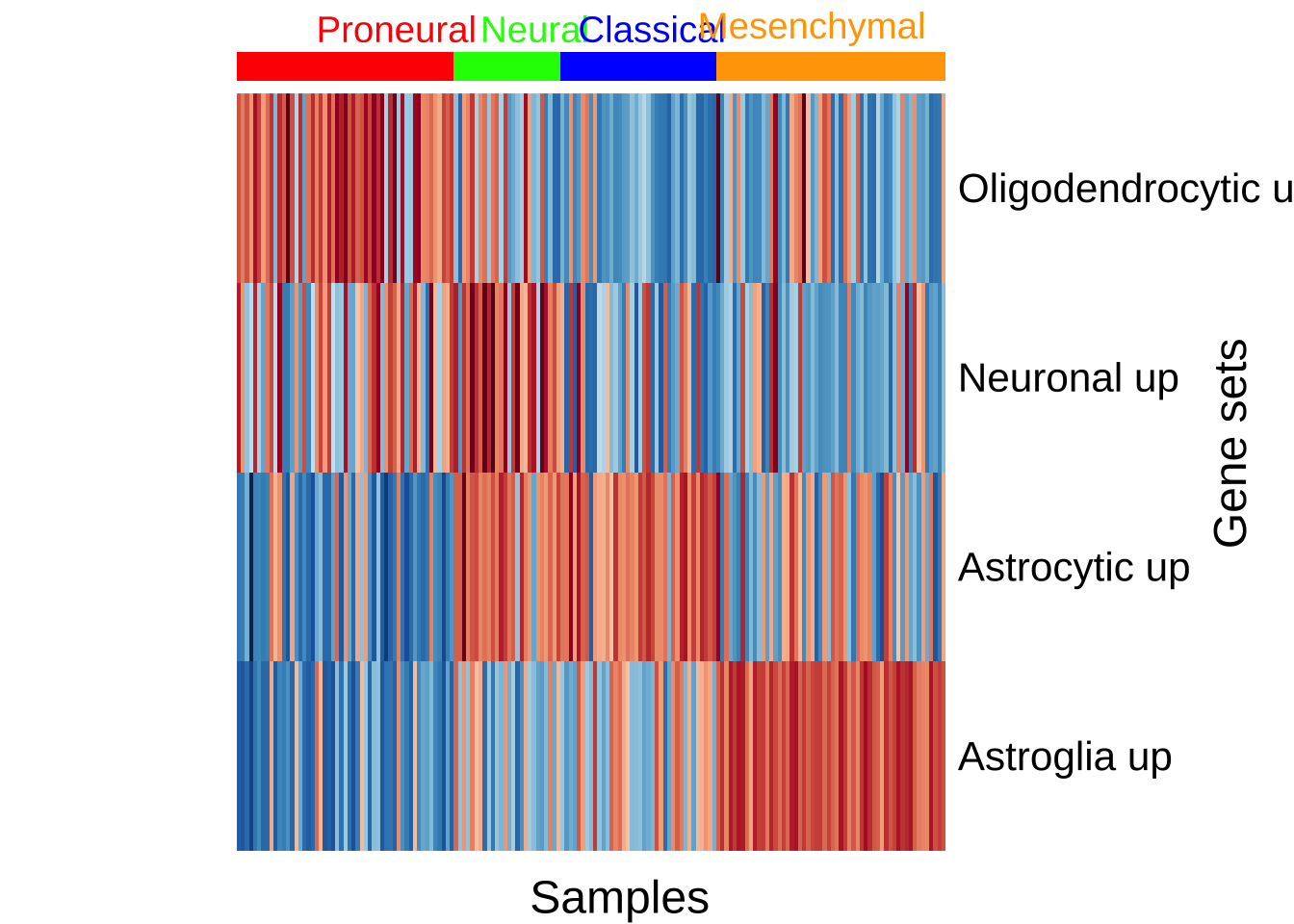 跨按 GBM 亚型分组的 GBM 样本的来自小鼠模型的细胞类型脑特征（y 轴）的 GSVA 分数热图。