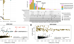 Featured image of post 基因组污染可能高估水平基因转移（HGT）推断｜NC