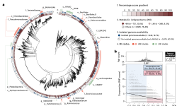 Featured image of post HRGM2：涵盖 41 个国家的的人类肠道MAGs目录，支持基因组规模代谢模型