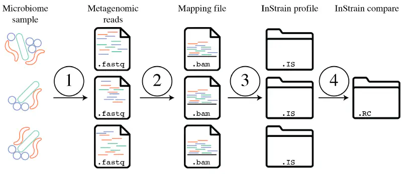 Featured image of post 使用InStrain进行宏基因组群体分析