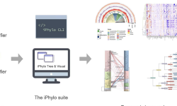 Featured image of post iPhylo 生成并绘制优美的分类树（物种+化学）