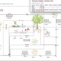 KEGG更新（2024.12）|作为现实世界模型的生物系统数据库