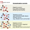 在低生物量微生物组研究中预防和报告污染｜Nature Microbiology指南