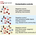 在低生物量微生物组研究中预防和报告污染｜Nature Microbiology指南