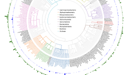 Featured image of post 大规模细菌基因组分析揭示数千种裂解噬菌体的存在