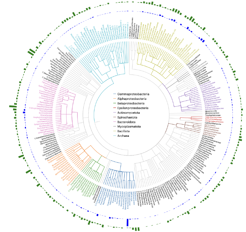 Featured image of post 大规模细菌基因组分析揭示数千种裂解噬菌体的存在