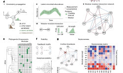 Featured image of post 用 MDSINE2 解析微生物组生态系统尺度动态变化｜Nature Microbiology