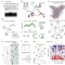 用 MDSINE2 解析微生物组生态系统尺度动态变化｜Nature Microbiology