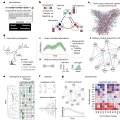 用 MDSINE2 解析微生物组生态系统尺度动态变化｜Nature Microbiology